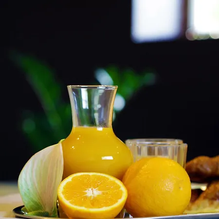 Land-zee, A 10mn De Royan