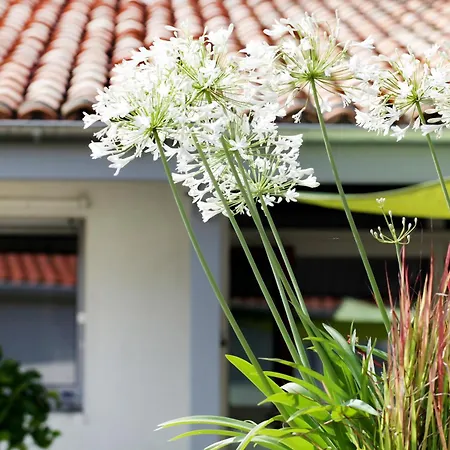 Land-zee, A 10mn De Royan 别墅 *