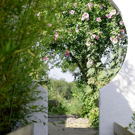 Land-zee, A 10mn De Royan * 索容